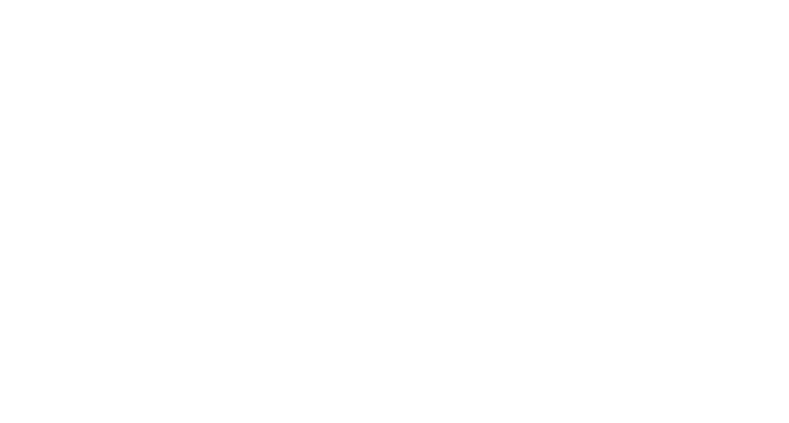 Esthetic Salon Amolir